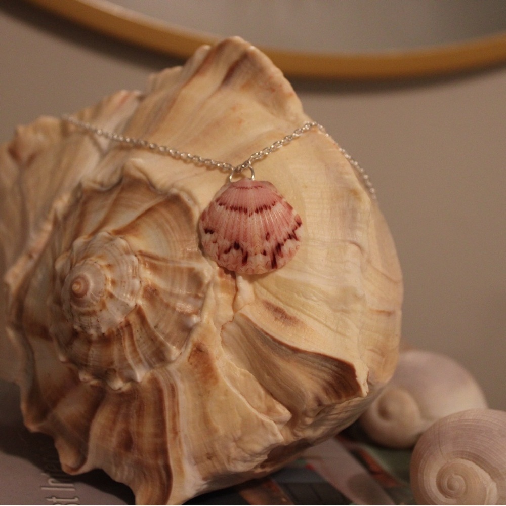 Chic Pink Calico Scallop Shell Pendant Necklace